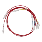 Picture of Electrodes Harness