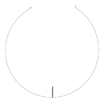 Picture of Retaining Ring